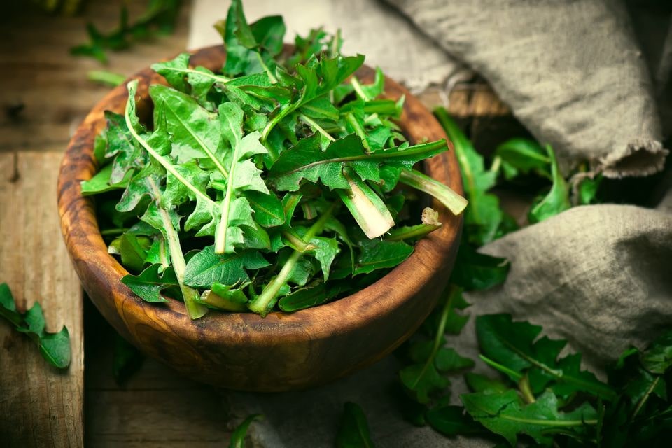 Dandelion Greens