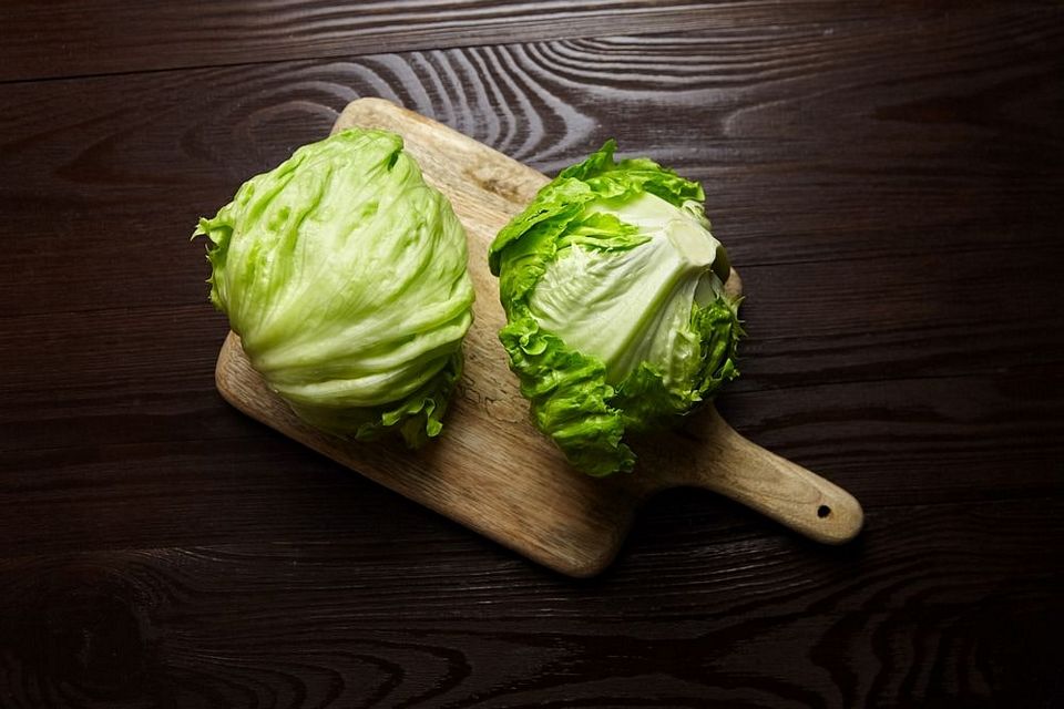 Iceberg Lettuce 